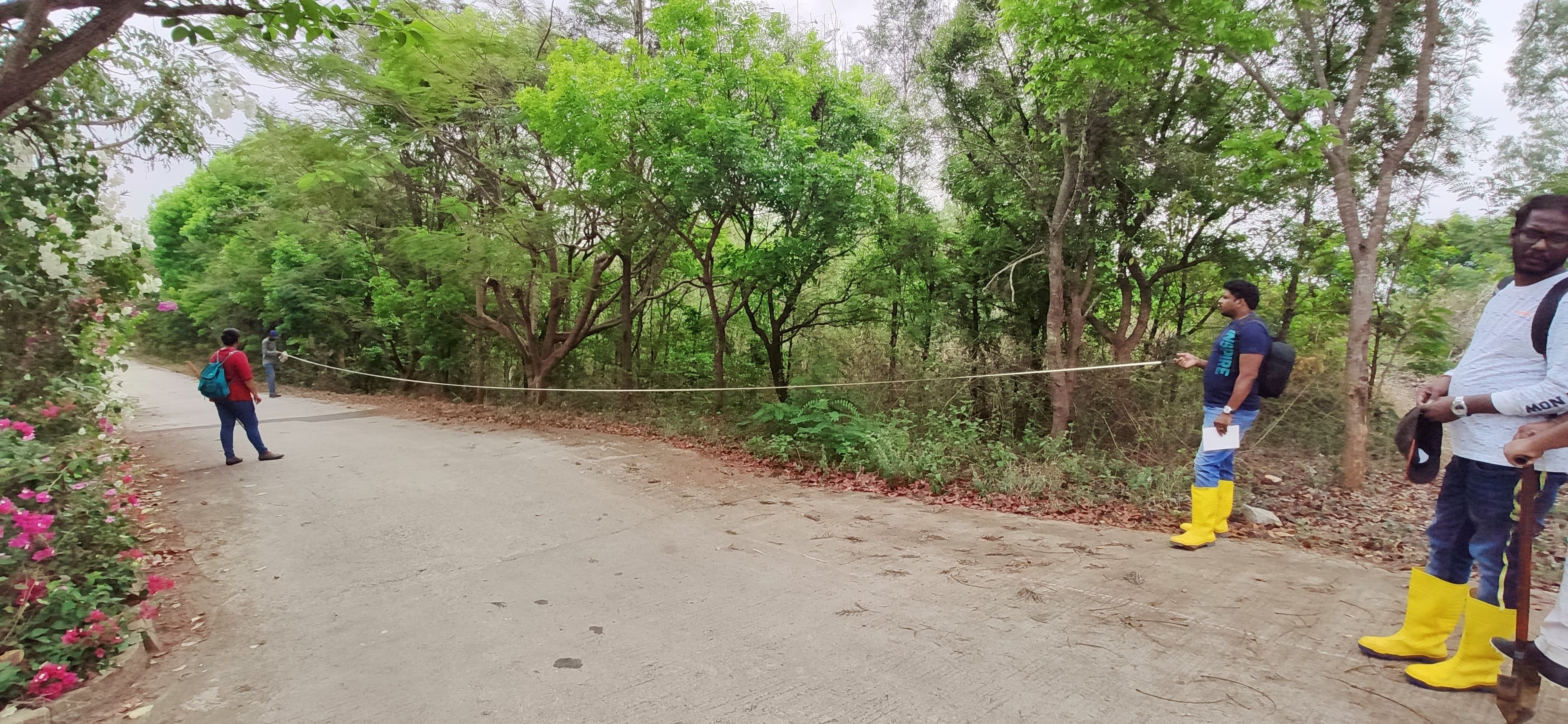 Environmental project 4