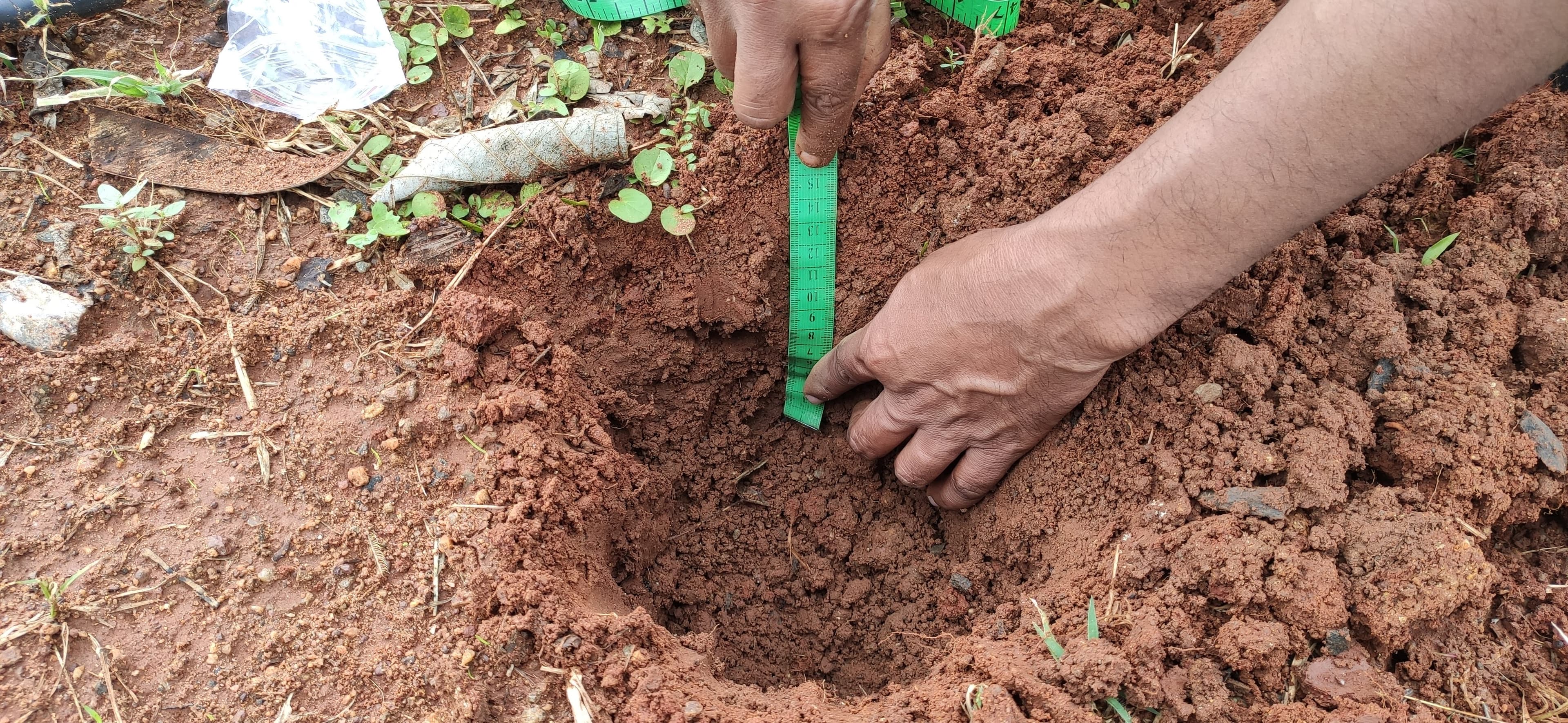 Environmental project 7