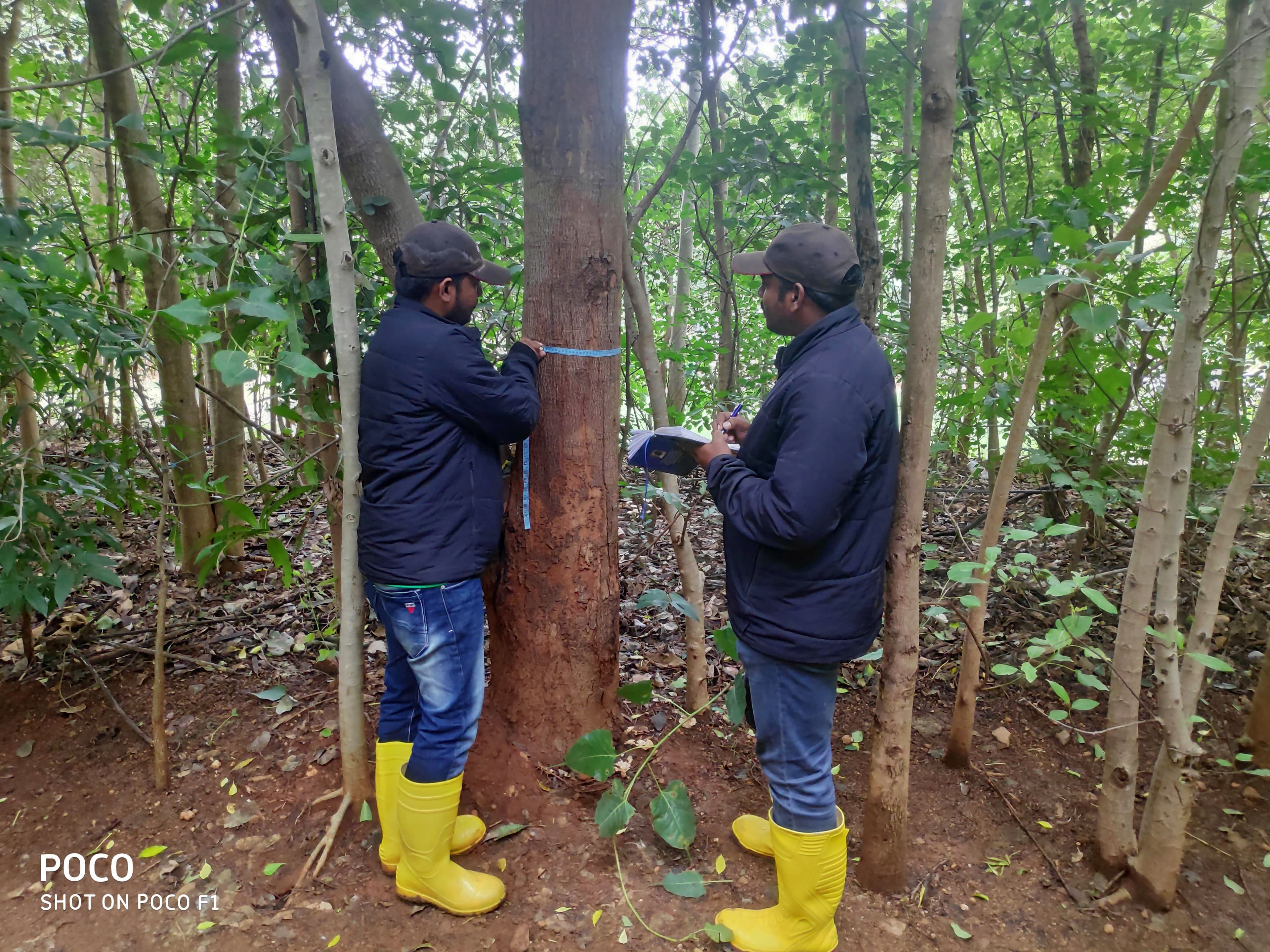 Environmental project 9